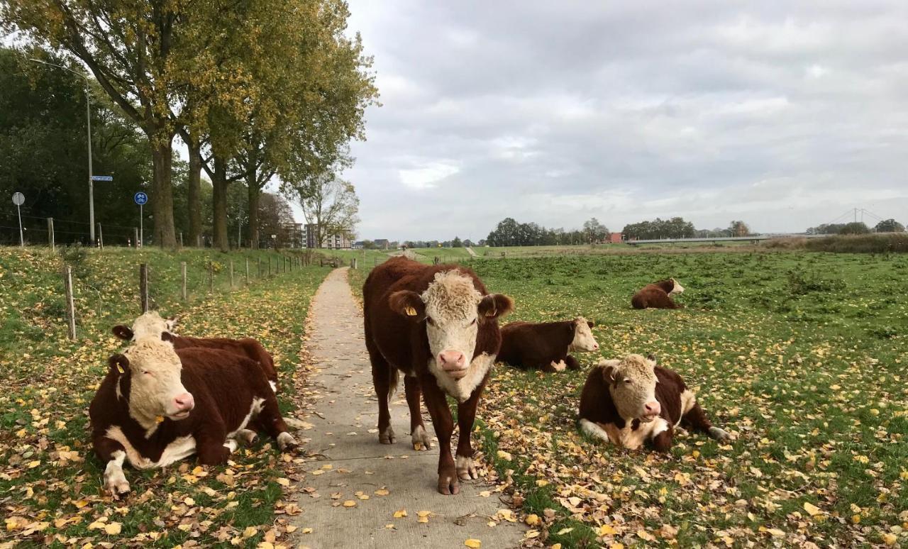 B&B Tussen Vecht En Veer Hardenberg Eksteriør billede